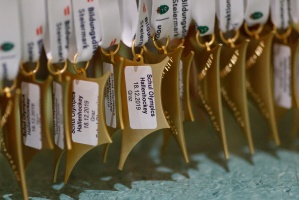 2019_SchulMS2019US_RB_3271