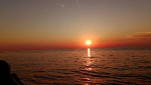IMG_20260625_203600